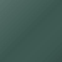 Morgan Universal Vernice per ritocco - ALLIGATOR GREEN (6005M)