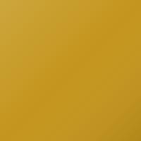 Nissan Universal (2003-Present) Peinture de retouche - LEMON YELLOW (396)