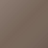 Vernice per ritocco Nissan Lafesta (2008-2008) – BROWN (Codice C61)