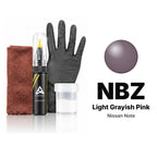 Touch-up paint for Nissan Note NBZ Light Grayish Pink, Complete kit