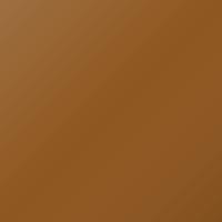 Pintura de retoque Nissan Pulsar (2020-2024) – ORANGE ALLOY (Código A55)