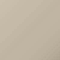 Nissan Universal (2004-2006) Ausbesserungslack – LIGHT BEIGE (Farbcode S14)