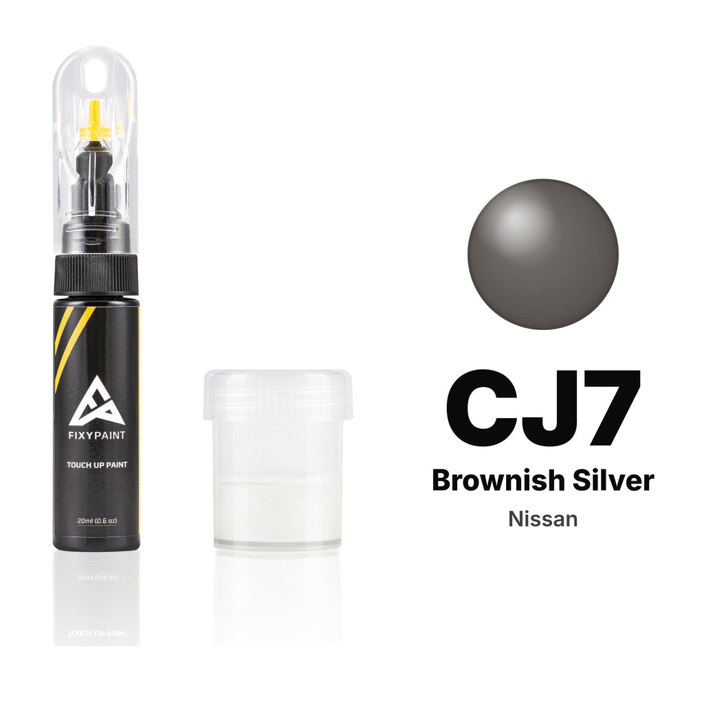 Touch-up paint for Nissan CJ7 Brownish Silver, Standard kit