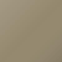 Peinture de retouche Nissan Maxima (2004-2004) – CHAMOIS (Code EY1)