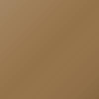 Vernice per ritocco Nissan X-trail (2008-2008) – LIGHT BROWN (Codice C51)