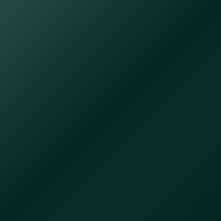 Nissan Universal (2002-2002) Peinture de retouche - MYSTIC GREEN PEARL (Z13)