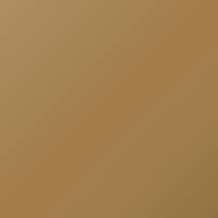 Opel Insignia (2019-2021) Touch Up Paint - LIGHT CHAMPAGNE (Code OCG)