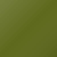 Opel Insignia (2018-2021) Touch Up Paint - GREENERY (Code OT5)