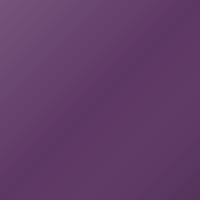Peinture de retouche Pantone Universal Standard (1996-Present) – 260 C (Code 260C)