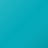 Peinture de retouche Pantone Universal Standard (1996-Present) – 3125 C (Code 3125C)