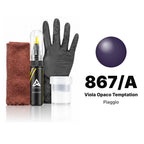 Touch-up paint for Piaggio 867/A Viola Opaco Temptation, Complete kit