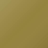 Pintura de retoque Pontiac Vibe (2003-2003) – SUBLIME GREEN MET (Código 46U)