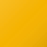 Porsche Universal (1989-1991) Touch Up Paint - GELB (Code N1L)