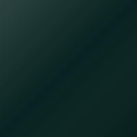 Peinture de retouche Porsche Gt3 (2010-2011) – PORSCHE RACING GREEN MET (Code 22G)