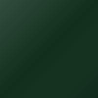 Peinture de retouche Porsche Universal (2017-2017) – IRISH GREEN (Code Y79)