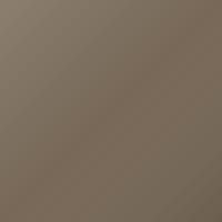 Vernice per ritocco Porsche Universal (2009-2022) – GOLDBRONZE (Codice Z52)