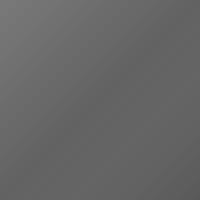 Pintura de retoque Proton Universal (1997-Present) – GREY (Código 16863)