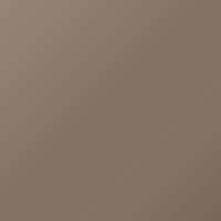 Vernice per ritocco Ral Universal Standard (1999-Present) – RAL DESIGNSYSTEM BRAUN (Codice 0605010)