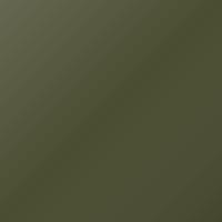 Ral Universal Standard (1990-Present) Ausbesserungslack – OLIVGRUEN (Farbcode 6003)