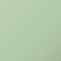 Ral Universal Standard (1990-Present) Ausbesserungslack – WEISSGRUEN (Farbcode 6019)