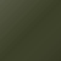Vernice per ritocco Ral Universal Standard (1991-Present) – GRUEN (Codice 6031)