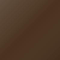 Ram Truck (2019-2019) Ausbesserungslack – DK MOUNTAIN BROWN (Farbcode TU8)