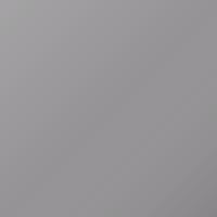 Ram Van (1997-2005) Ausbesserungslack – LIGHT ARTIC GREY (Farbcode MSC)