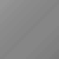 Renault Universal (2017-2017) Ausbesserungslack – GRIS CETUS (Farbcode 205397)
