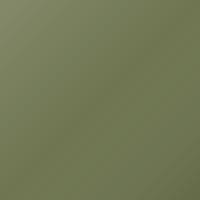 Renault Universal (2017-2017) Pintura de retoque - VERT GOYAVE (21585)
