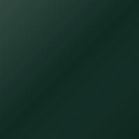 Renault Universal (2012-2012) Ausbesserungslack – VERT FOUGERE (Farbcode 51G)
