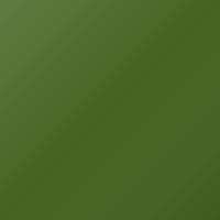 Renault Avantime (2002-Present) Ausbesserungslack – VERT TAIGA (Farbcode H97)