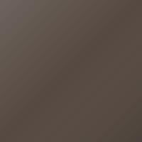 Renault Universal (1988-2004) Ausbesserungslack – DARK DRIFTWOOD (Farbcode CL)