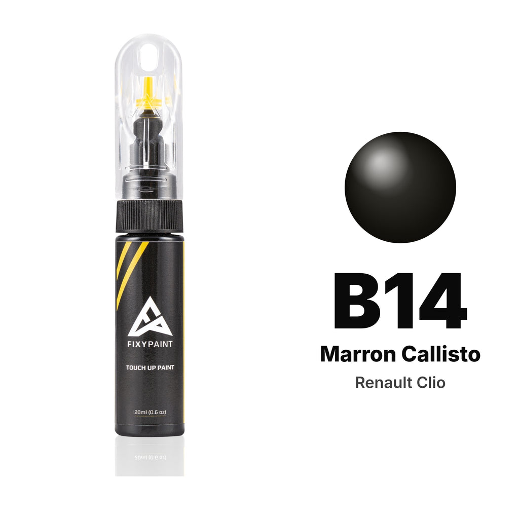 Touch-up paint for Renault Clio B14 Marron Callisto, Basic kit
