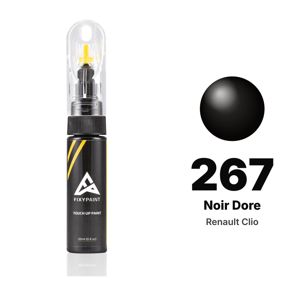 Touch-up paint for Renault Clio 267 Noir Dore, Basic kit