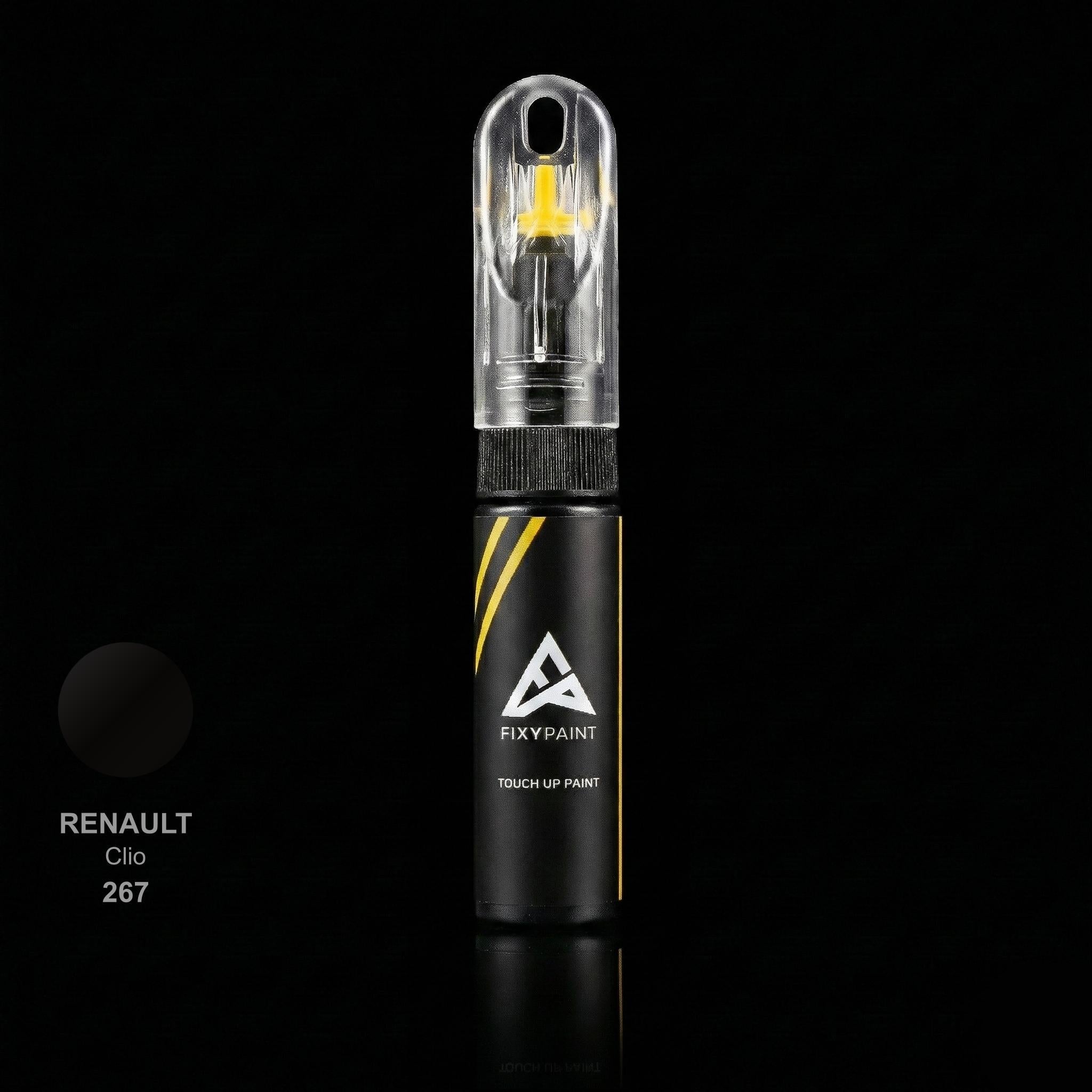 Renault Clio touch up paint kit - NOIR DORE ED.2 267 scratch repair