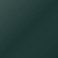 Renault Scenic (2001-2004) Ausbesserungslack – VERT GIVERNY (Farbcode D96)
