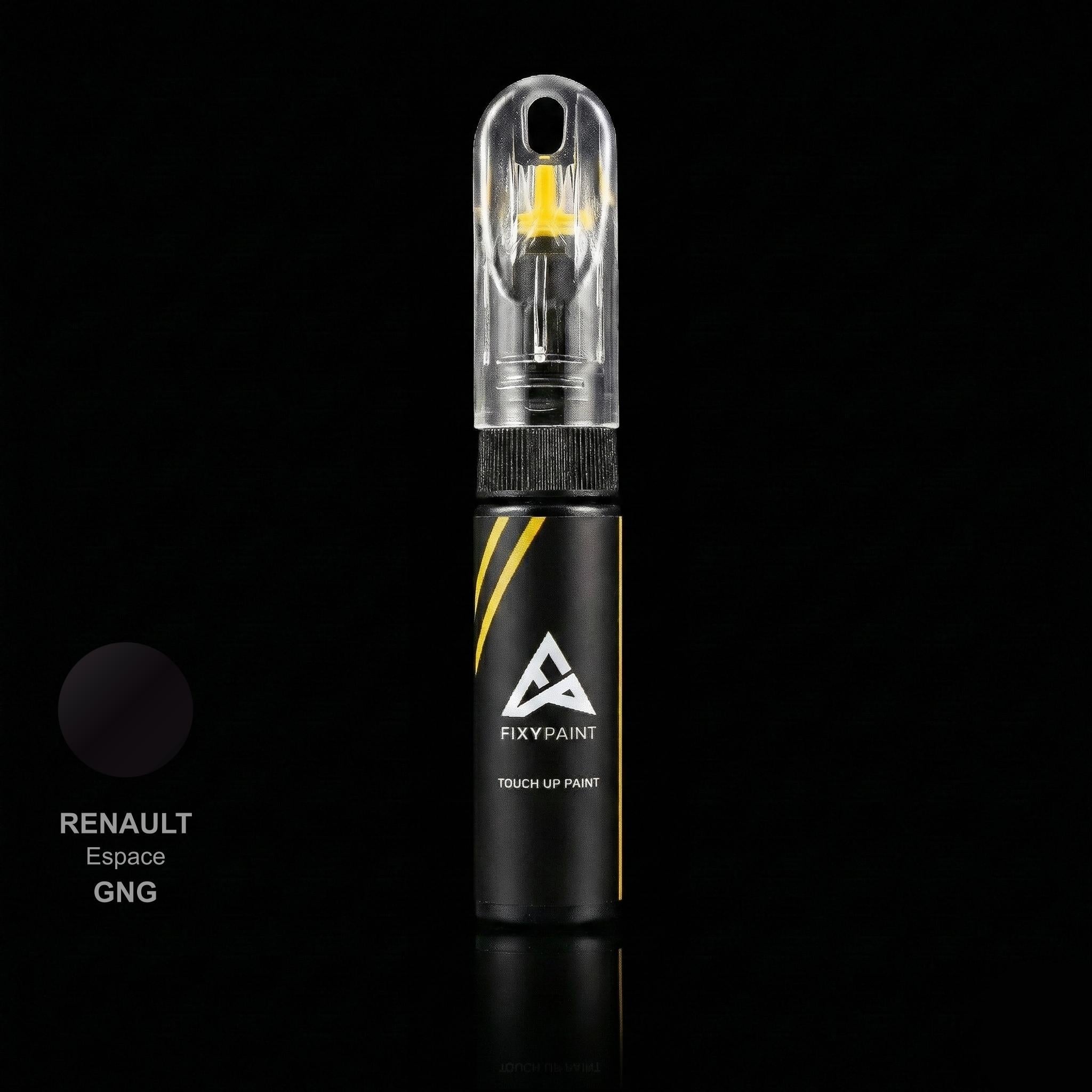 Renault Espace touch up paint kit - NOIRE AMETHYSTE GNG scratch repair