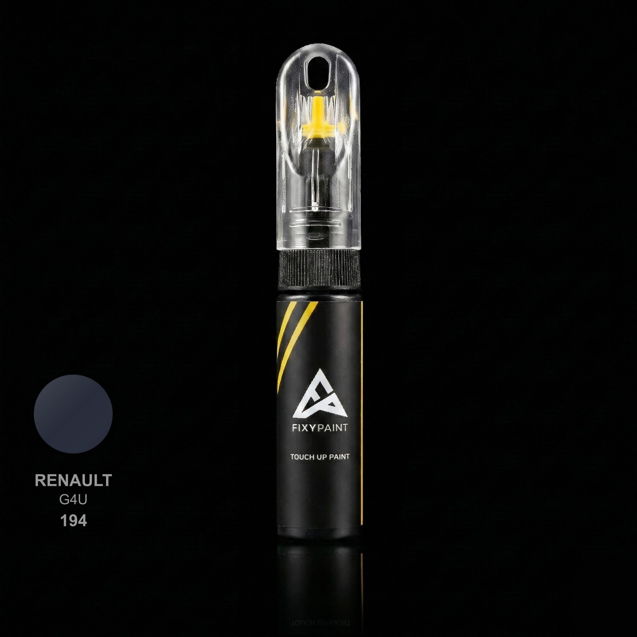 Renault Universal touch up paint kit - GYPSY NACRE 194 scratch repair