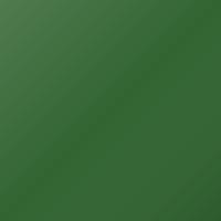 Renault Universal (2000-2003) Ausbesserungslack – VERT (Farbcode G95)