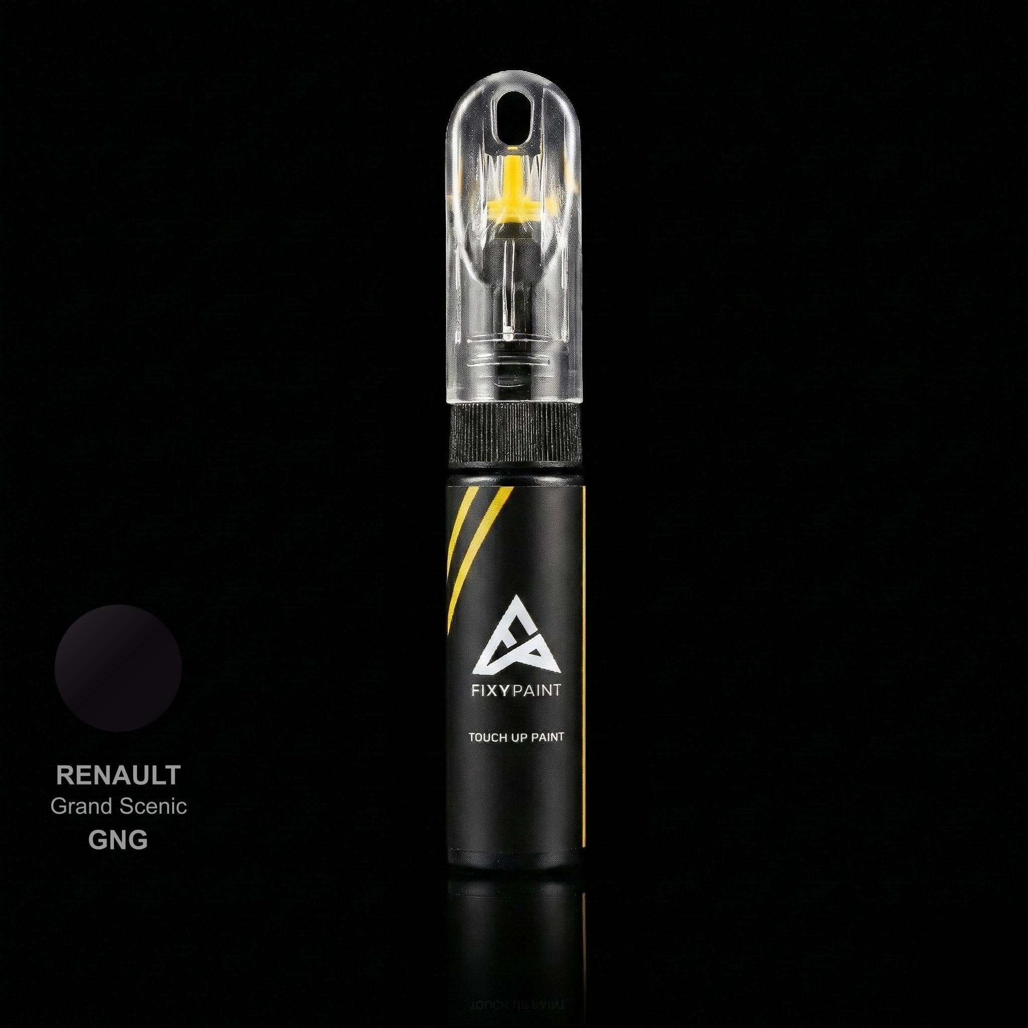 Renault Grand Scenic touch up paint kit - NOIRE AMETHYSTE GNG scratch repair