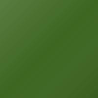 Renault Universal (2000-2003) Ausbesserungslack – VERT (Farbcode H98)