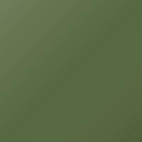 Pintura de retoque Renault Kangoo (2007-2010) – VERT CACTUS (Código DNK)