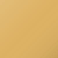 Renault Kangoo (2007-2015) Ausbesserungslack – JAUNE AGRUME (Farbcode ENG)