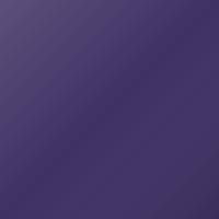 Vernice per ritocco Renault Universal (2007-2007) – VIOLET (Codice LNA)