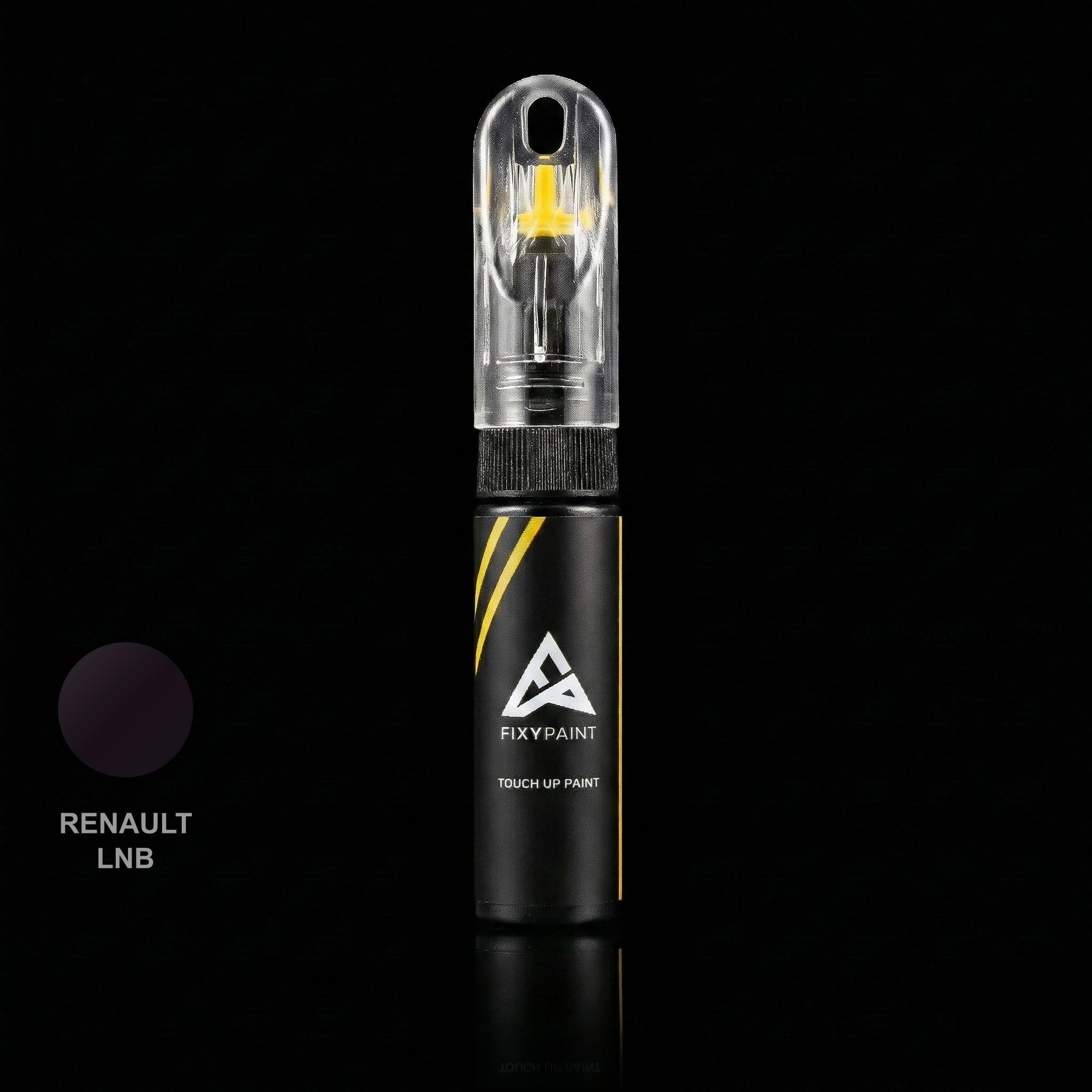 Renault Universal touch up paint kit - MYSTIC PURPLE LNB scratch repair