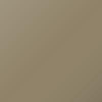 Renault Master (2005-2005) Ausbesserungslack – BEIGE (Farbcode F95)