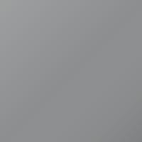 Renault Megane (2009-2009) Ausbesserungslack – CHROME (Farbcode 205338)