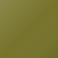 Renault Scenic (2000-2003) Ausbesserungslack – ABSINTHE (Farbcode C99)