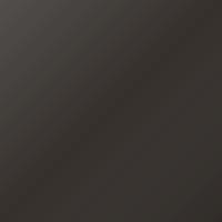 Vernice per ritocco Renault Scenic (2016-2017) – BRUN VISION (Codice CNM)