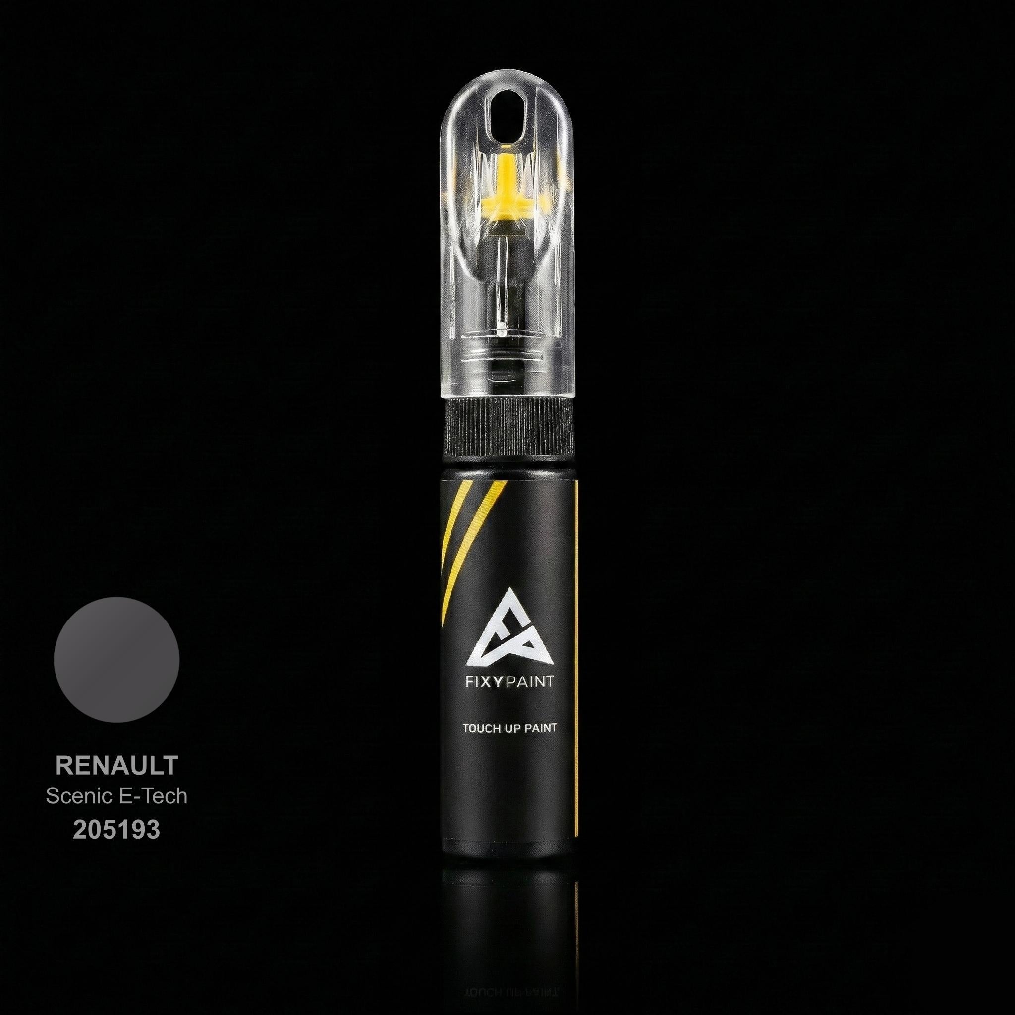 Renault Scenic E-tech touch up paint kit - HOLOGRA CAMAIEU 205193 scratch repair